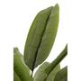 Voir la diapositive 2 : Paris Prix Plante Artificielle en Pot  Bananier  250cm Vert