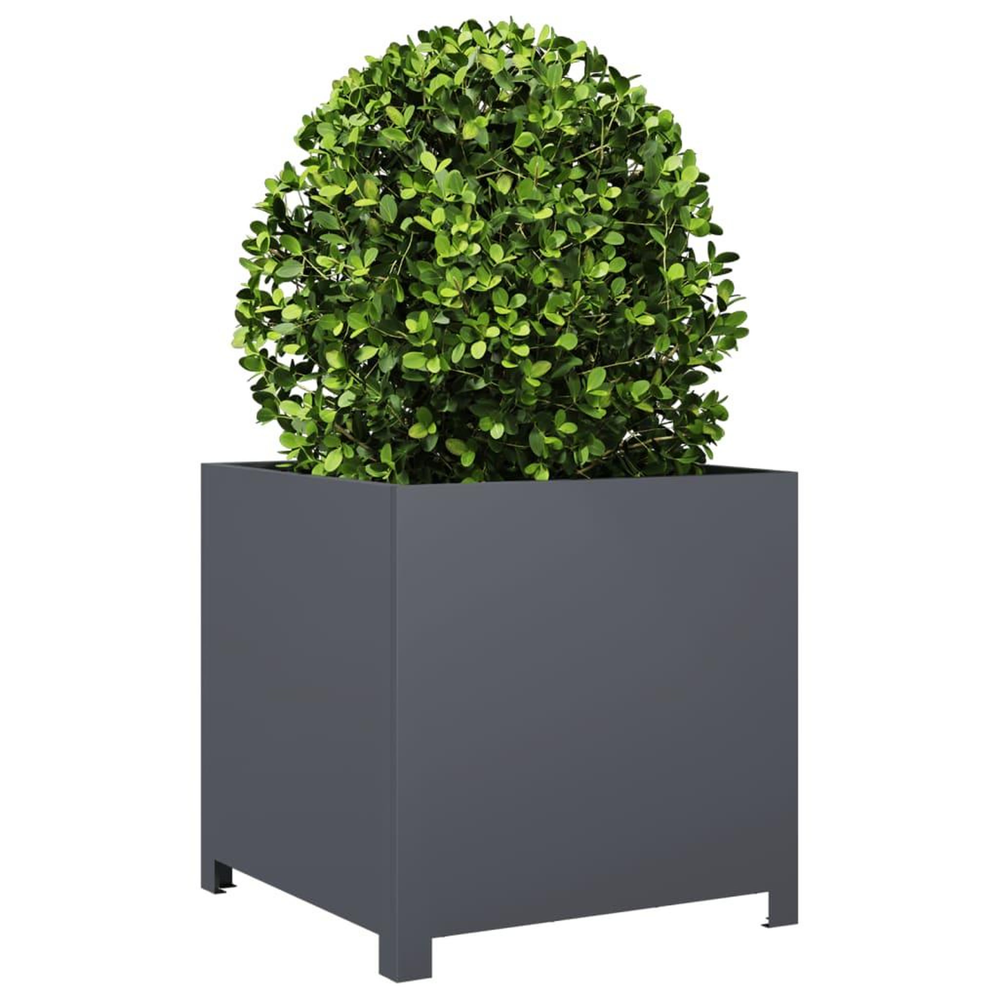 Voir la diapositive 3 : VIDAXL Jardiniere anthracite 50x50x50 cm acier