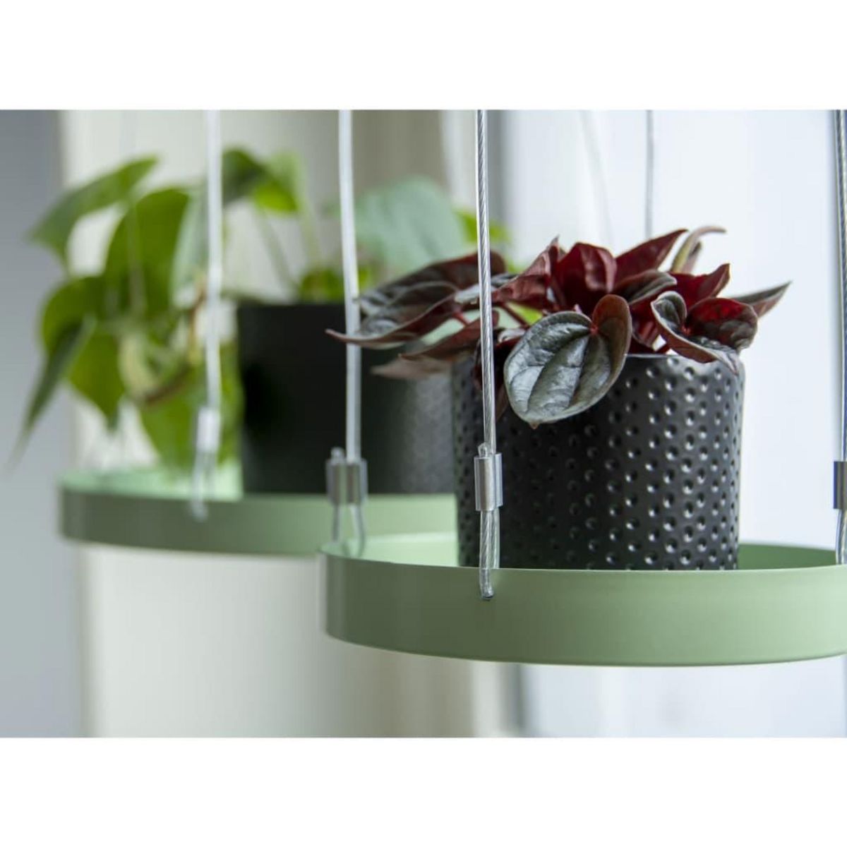 ESSCHERT DESIGN Esschert Design Plateau suspendu pour plantes Rond Vert S