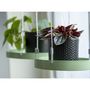 Voir la diapositive 1 : ESSCHERT DESIGN Esschert Design Plateau suspendu pour plantes Rond Vert S