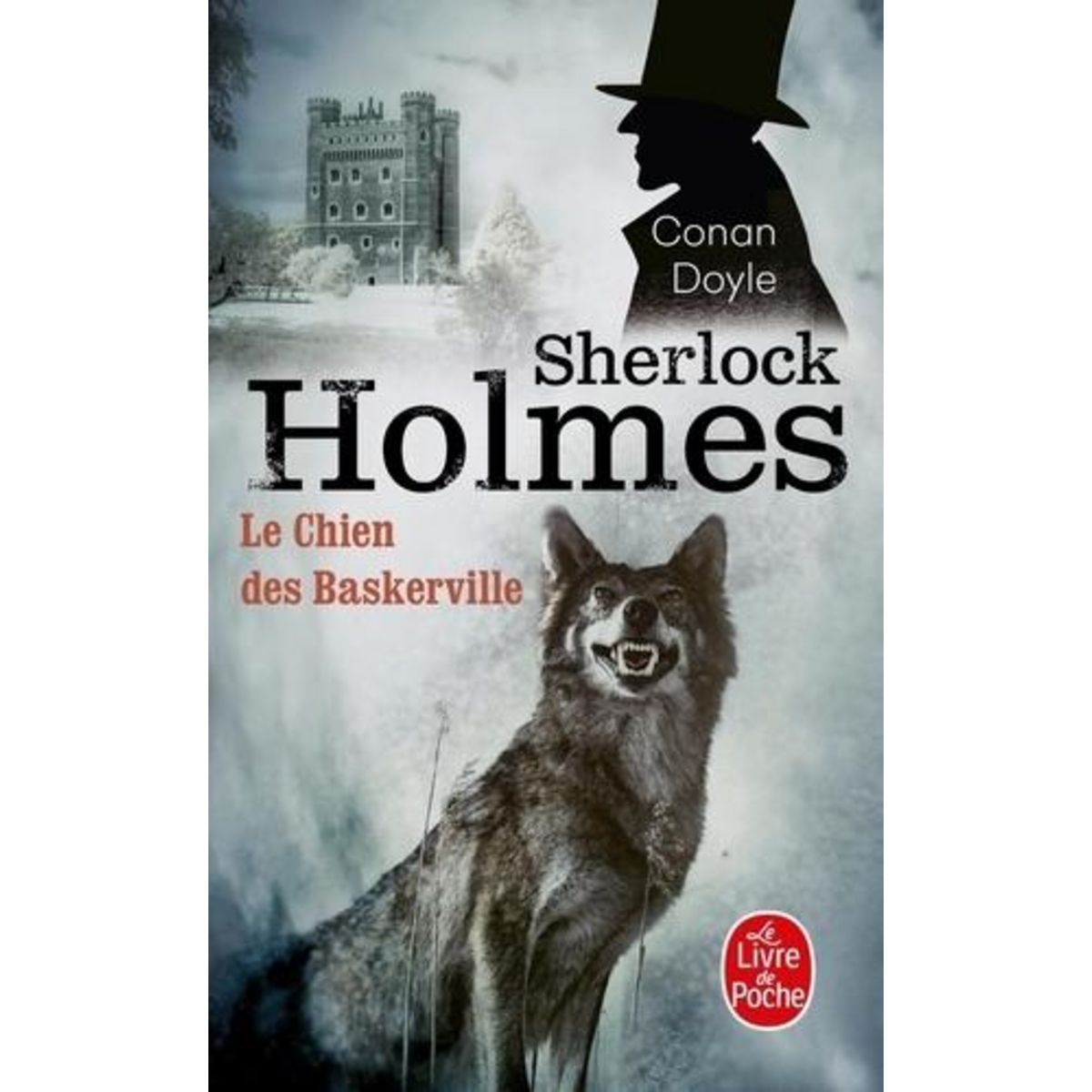 LE CHIEN DES BASKERVILLE, Doyle Arthur Conan