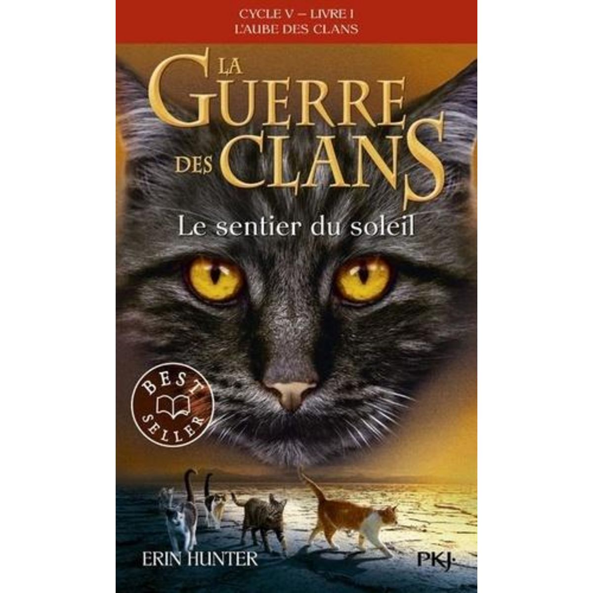 LA GUERRE DES CLANS : L'AUBE DES CLANS (CYCLE V) TOME 1 : LE SENTIER DU SOLEIL, Hunter Erin