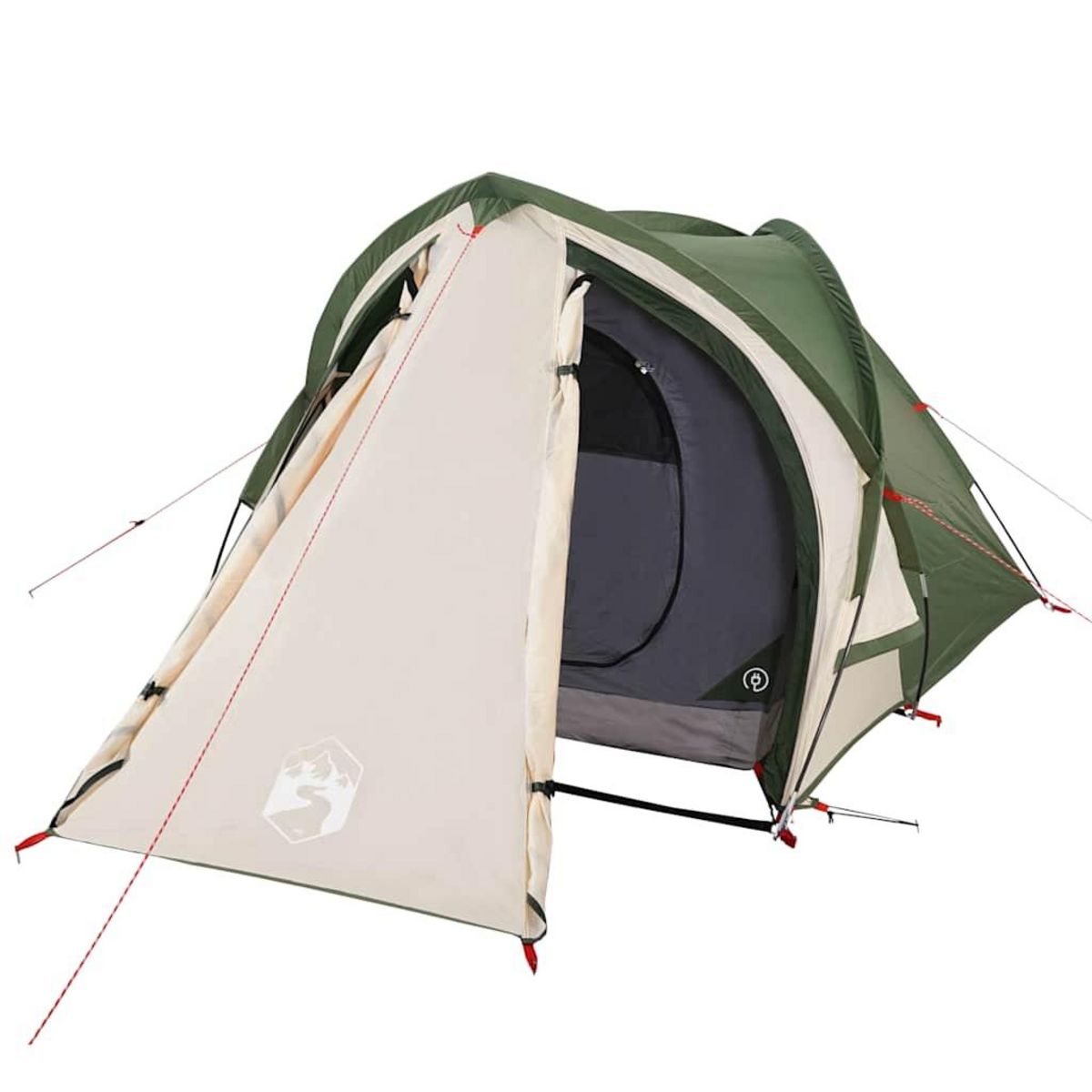 VIDAXL Tente de camping a dome 2 personne vert impermeable