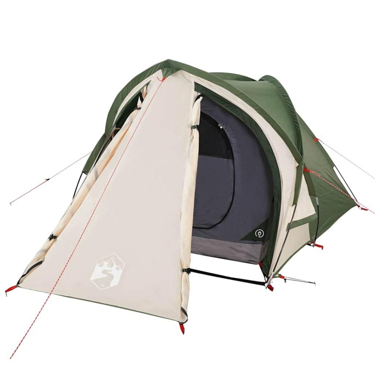 VIDAXL Tente de camping a dome 2 personne vert impermeable