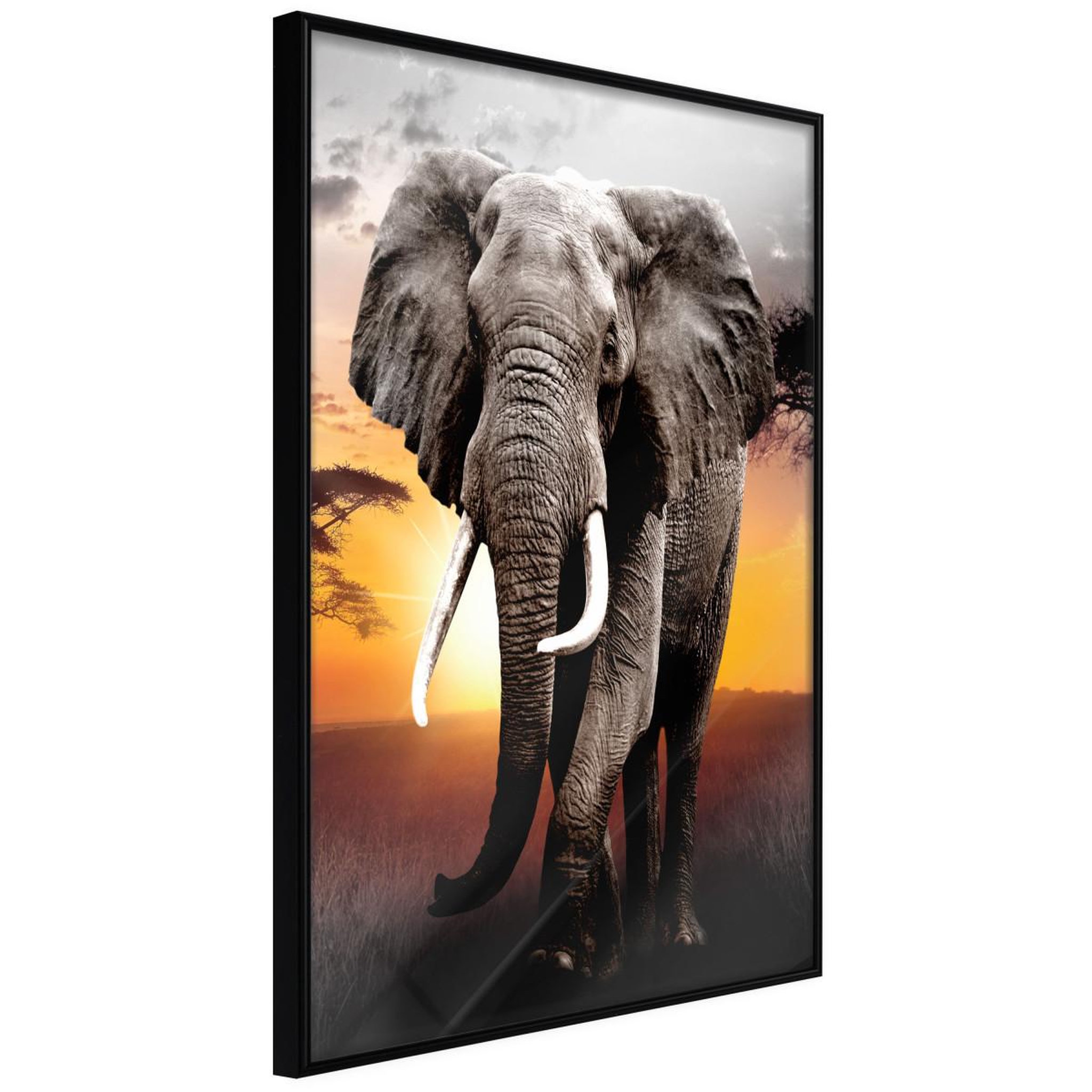 Paris Prix Affiche murale encadrée  majestic elephant. Coloris disponibles : Noir, Jaune