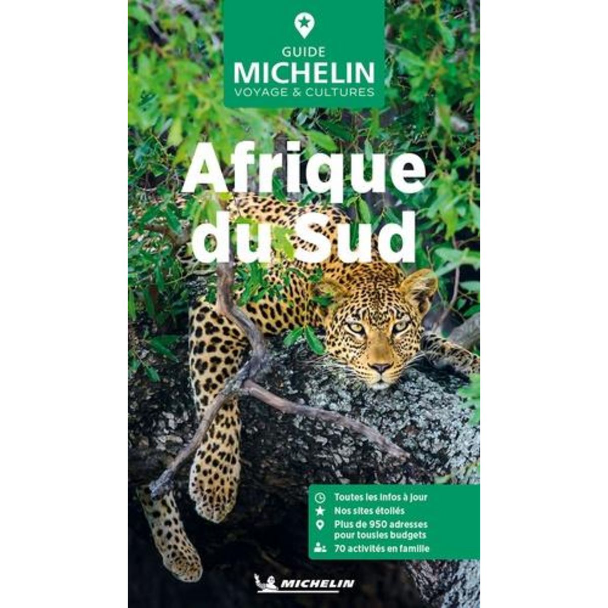 AFRIQUE DU SUD. EDITION 2024, Michelin