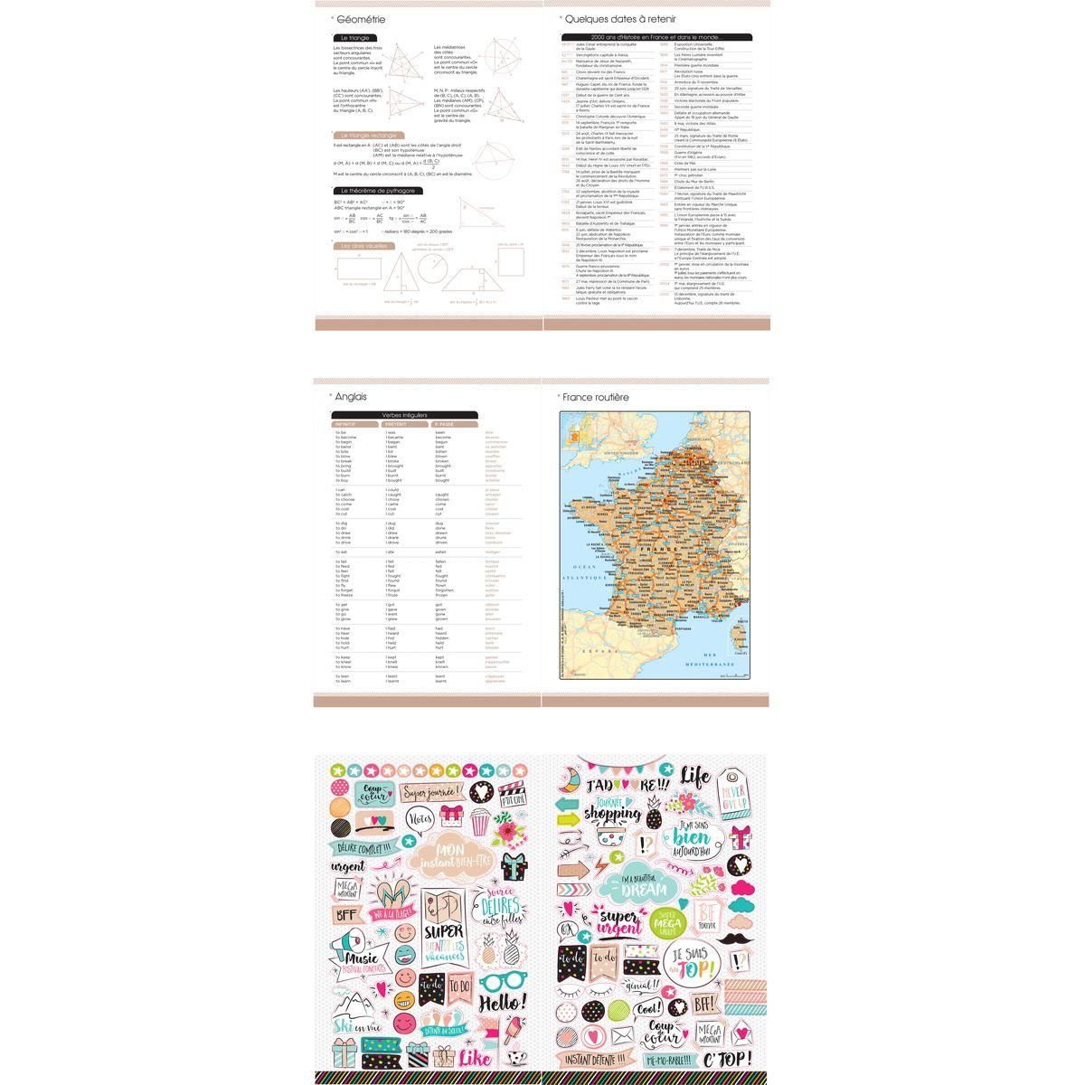 OXFORD Agenda scolaire journalier 12x18cm Flowers fleurs rose élastique rose 2023-2024