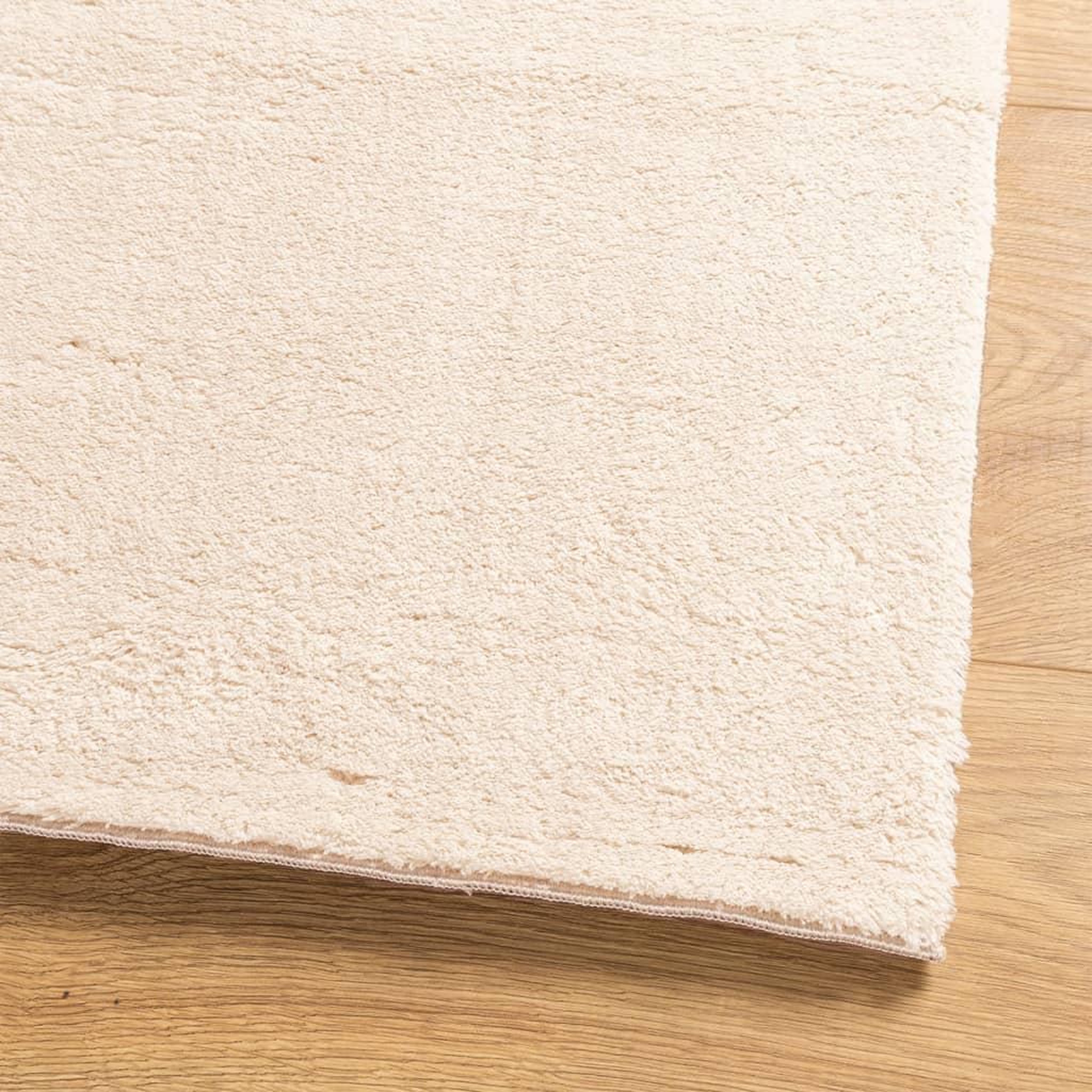 Voir la diapositive 4 : VIDAXL Tapis HUARTE a poils courts doux et lavable beige 80x150 cm