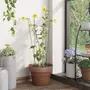 VIDAXL Piquets pour plantes de jardin 20 pcs vert fonce 61 cm acier
