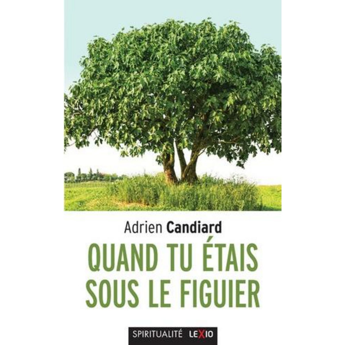 QUAND TU ETAIS SOUS LE FIGUIER. PROPOS INTEMPESTIFS SUR LA VIE CHRETIENNE, Candiard Adrien