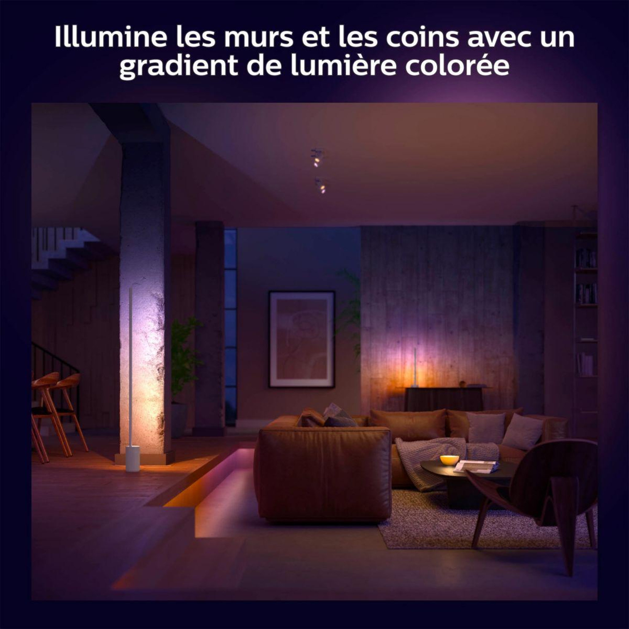 Voir la diapositive 5 : Philips Lampe connectée HUE W&C Gradient Sign blanc