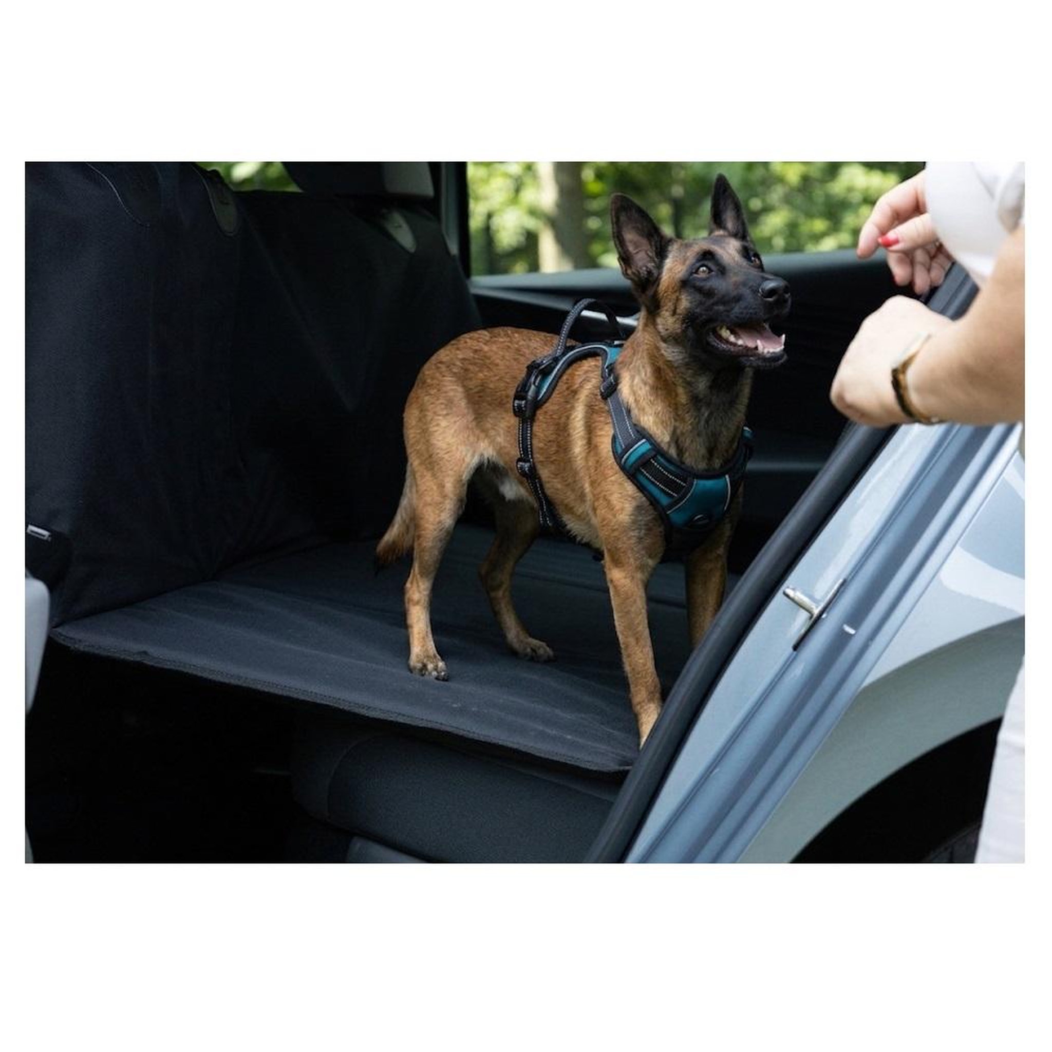 Voir la diapositive 3 : Eden Housse de siège auto pour chien protection banquette arrière noir
