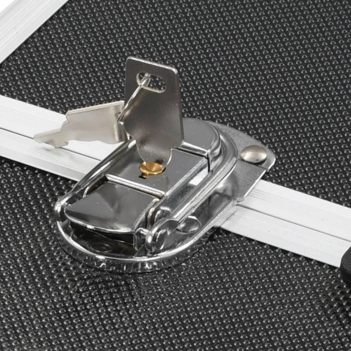 VIDAXL Mallette à maquillage 37x24x35 cm Noir Aluminium