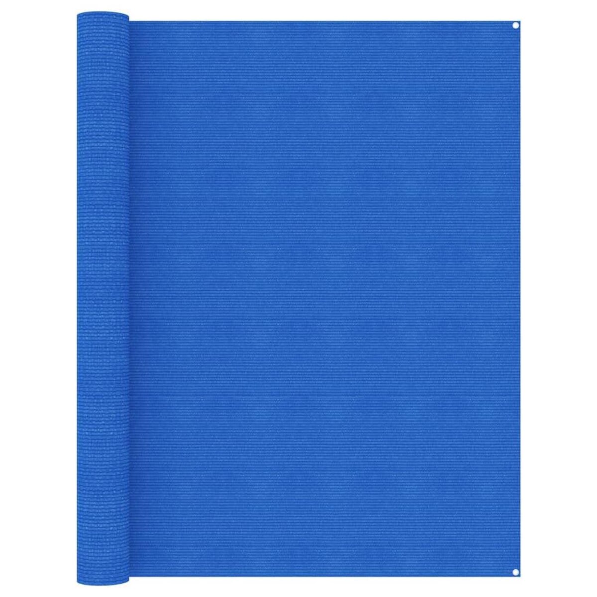 VIDAXL Tapis de tente 250x500 cm Bleu