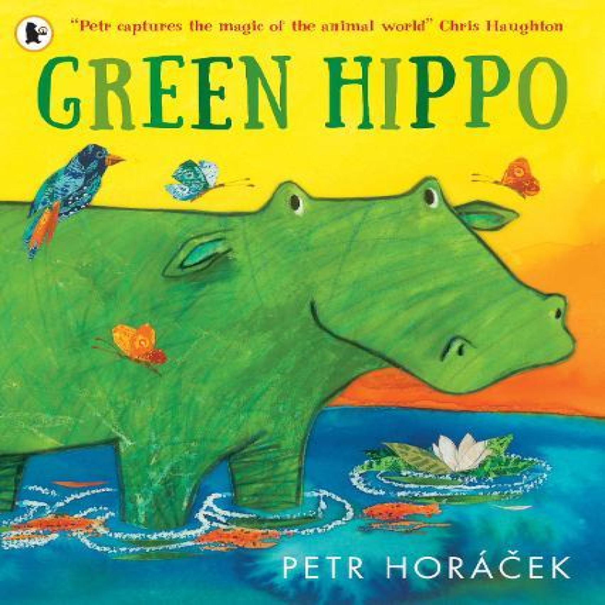 LIVRES Green Hippo : A heart-warming and funny story about friendship and acceptance, from an award-winning author-illustrator