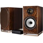 Triangle Enceinte bibliothèque active Capella Nébuleuse Brune