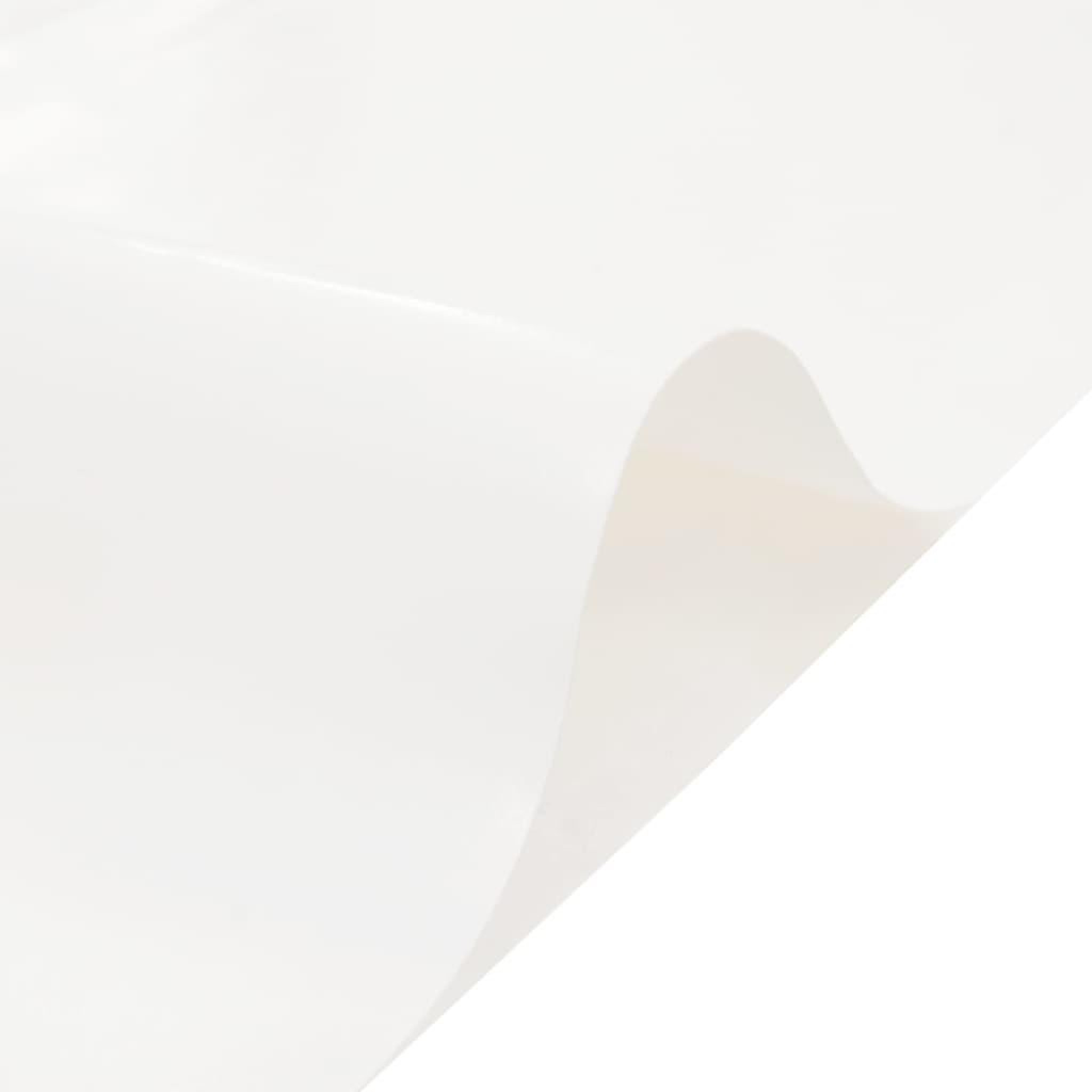 Voir la diapositive 4 : VIDAXL Bache blanc 6x8 m 600 /m²