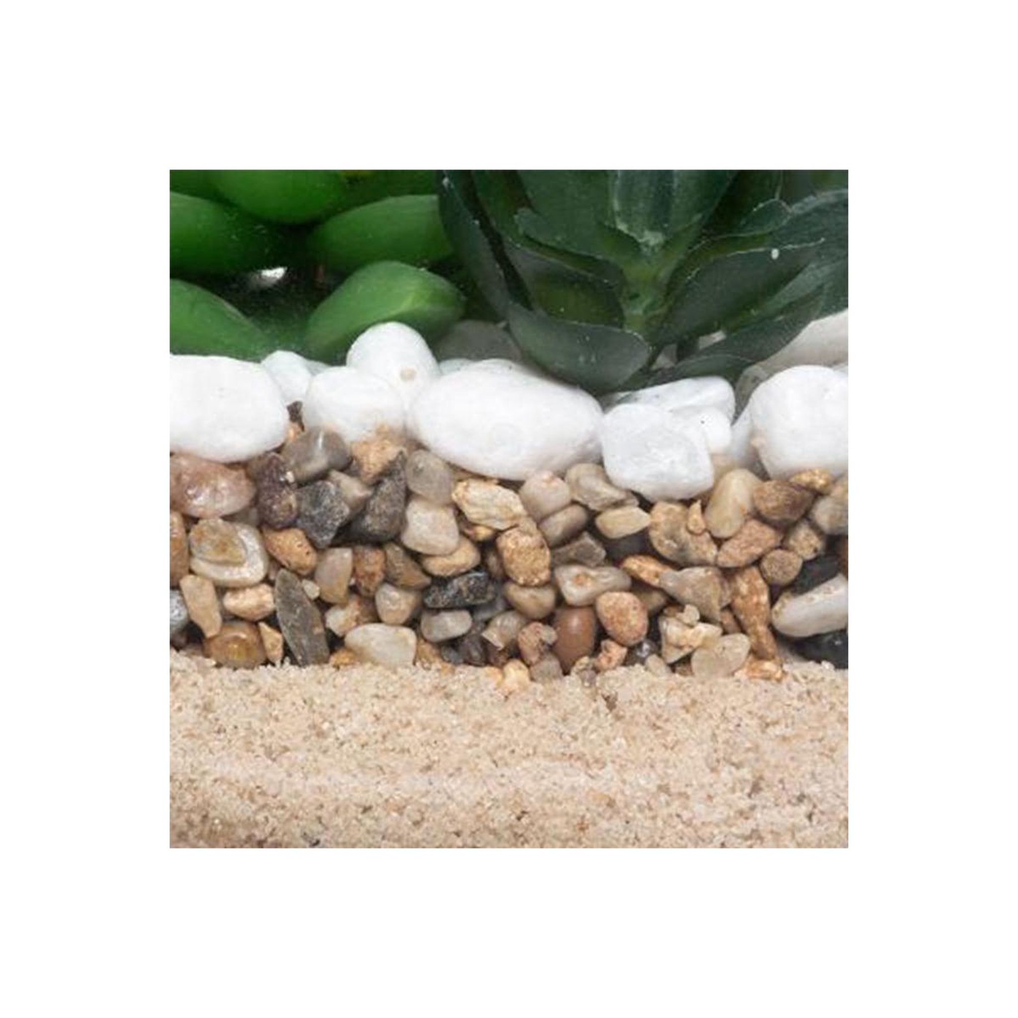 Voir la diapositive 3 : ATMOSPHERA Composition  plante artificielle  15cm transparent