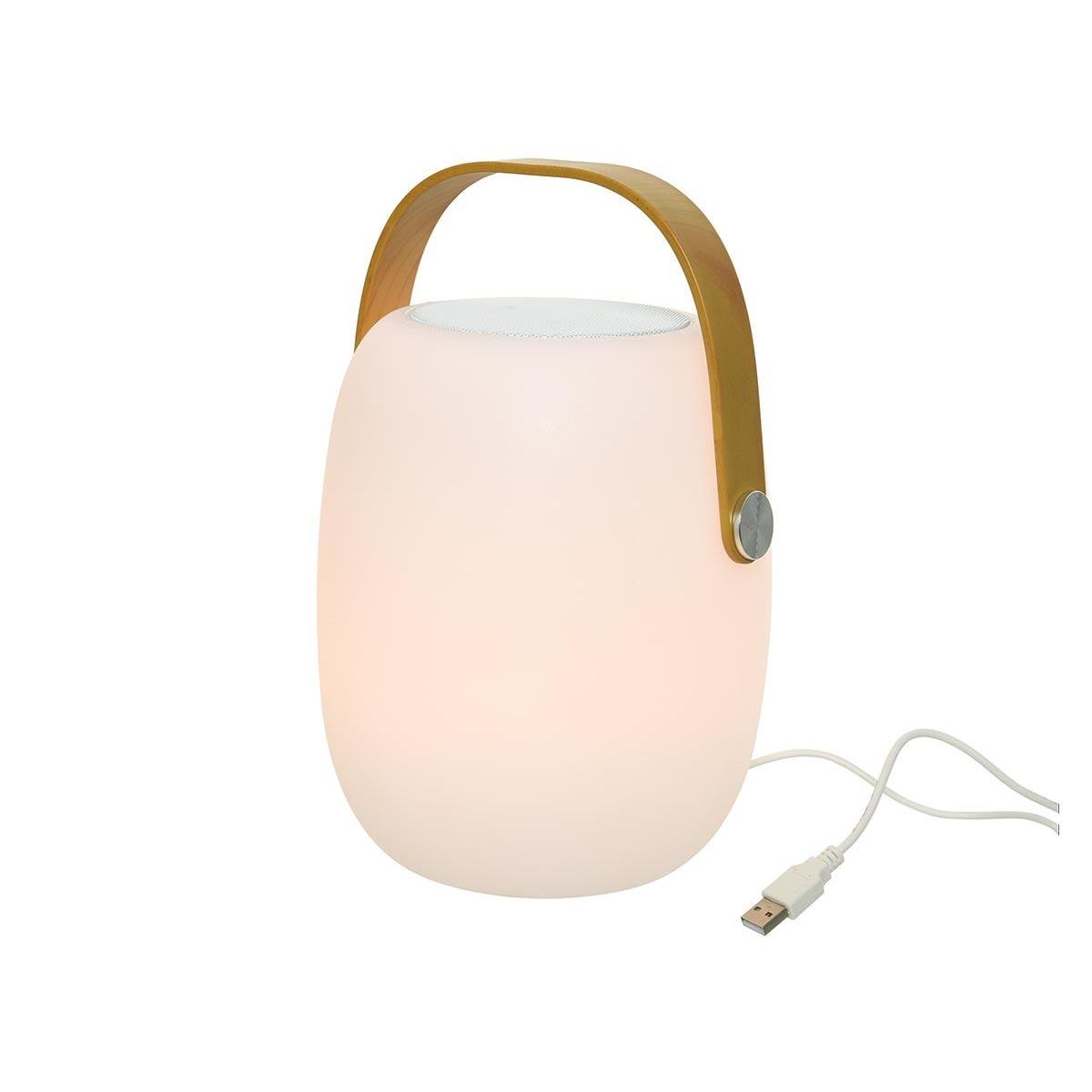 JARDIDECO Enceinte musicale d'extérieur portative lumineuse LED - Jardideco