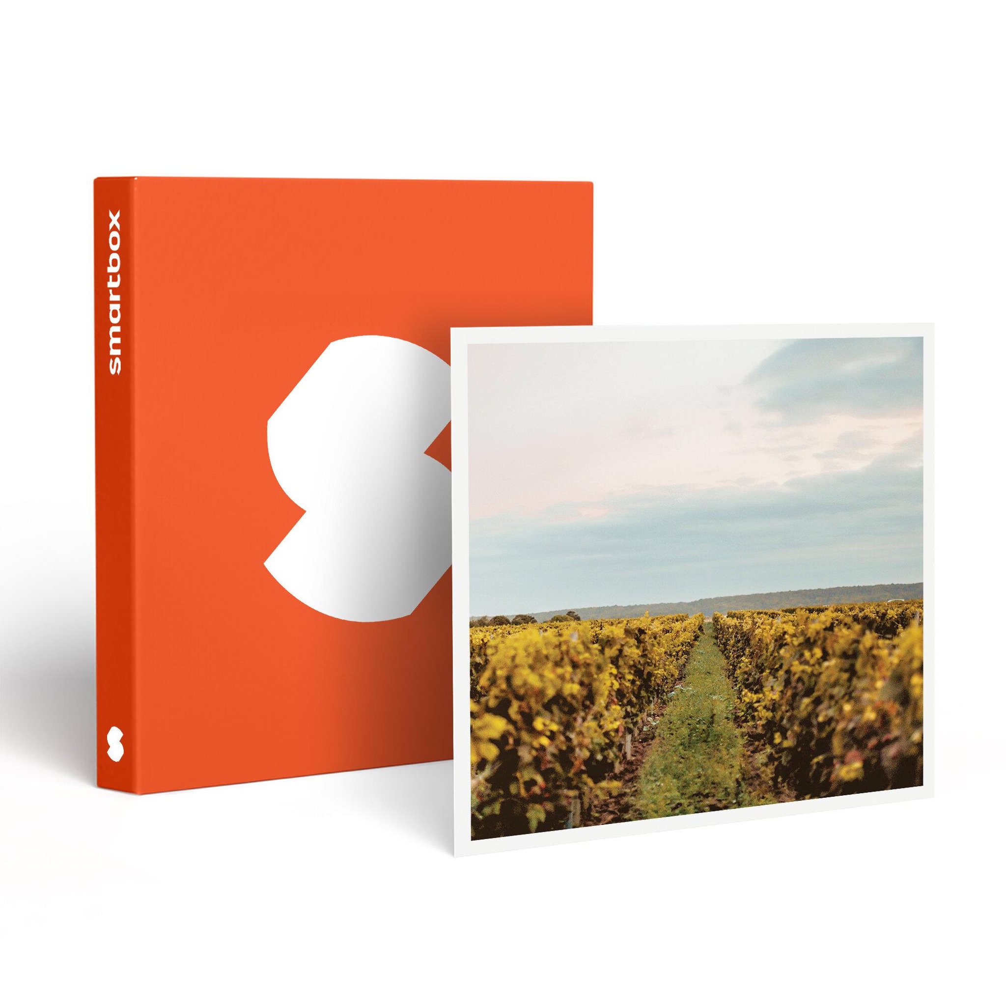 Smartbox Visite et dégustation de vins en duo près de versailles - coffret cadeau gastronomie