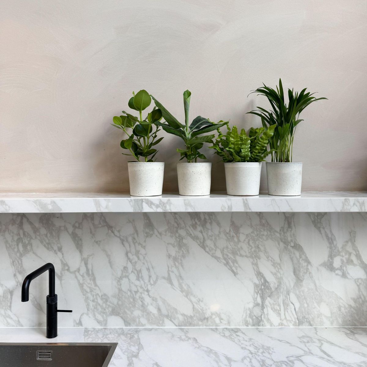 PLANT IN A BOX Plantes d'intérieur - Set de 4 - Areca Asplenium Clusia Musa - H25-40cm - ⌀12cm