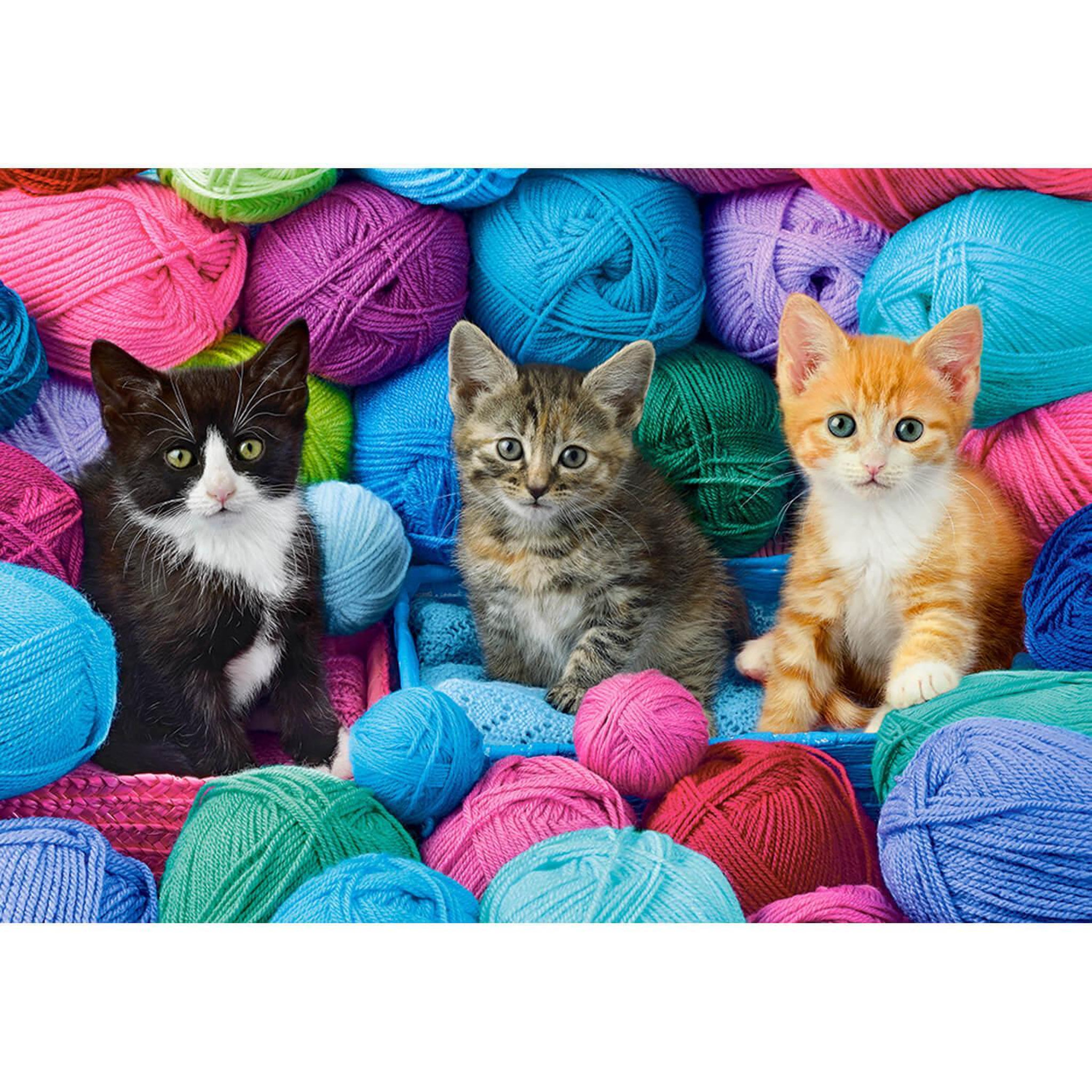 Castorland Puzzle 1000 pièces : Chatons dans le magasin de laine