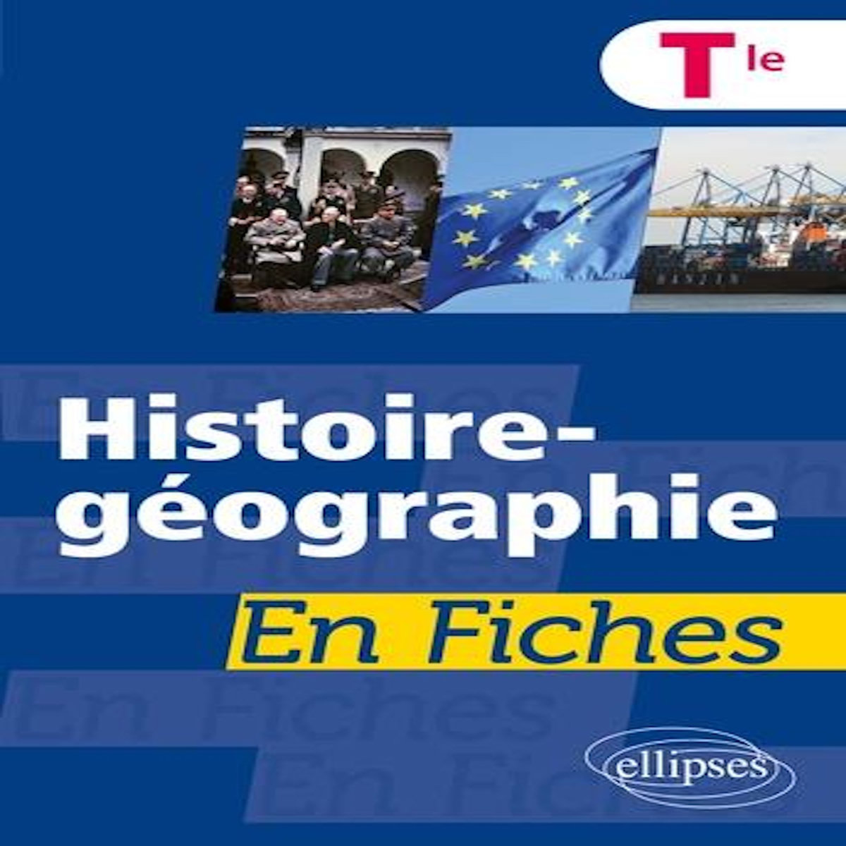 HISTOIRE-GEOGRAPHIE TLE EN FICHES, Leclerc Nathalie