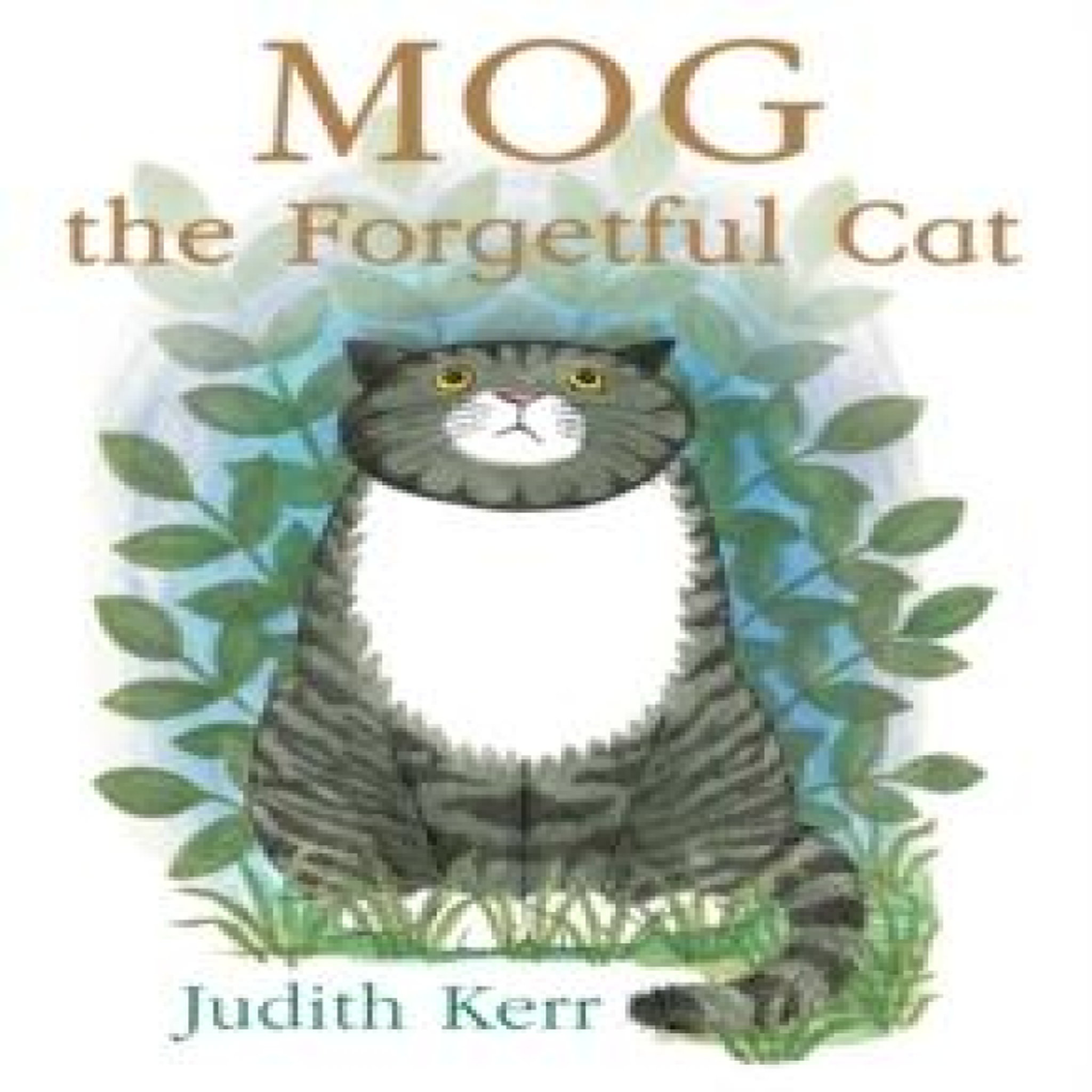 LIVRES Mog the Forgetful Cat