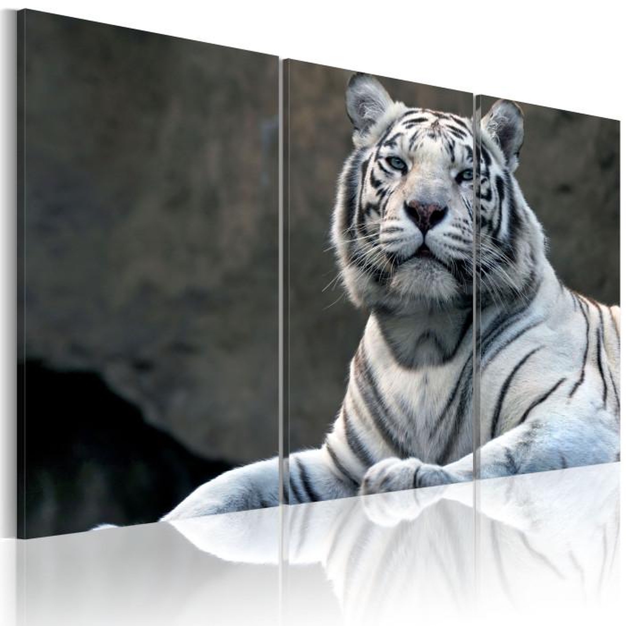 Paris Prix Tableau Imprimé  Tigre Blanc. Coloris disponibles : Multicolore