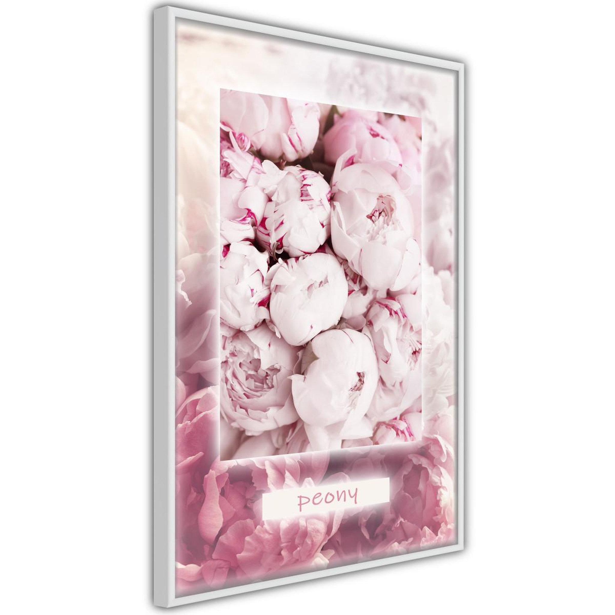 Paris Prix Affiche murale encadrée  scent of peonies