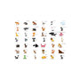 Voir la diapositive 2 : Paris Prix Papier Peint  Learning By Playing Animals