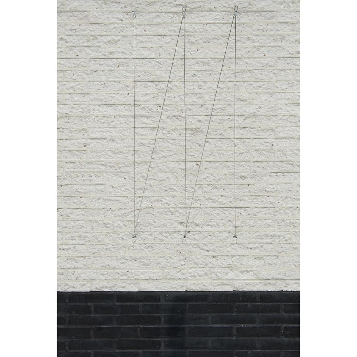 NATURE Nature Ensemble de treillis metallique pour plantes grimpantes 2 pcs