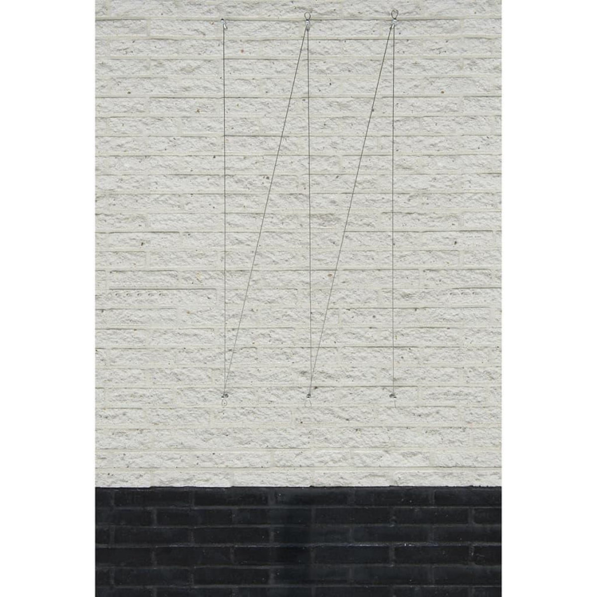 NATURE Nature Ensemble de treillis metallique pour plantes grimpantes 2 pcs