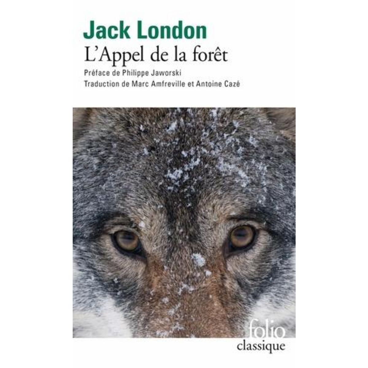 L'APPEL DE LA FORET, London Jack