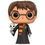 Voir la diapositive 1 : FUNKO Figurine Pop Harry Potter et Hedwige