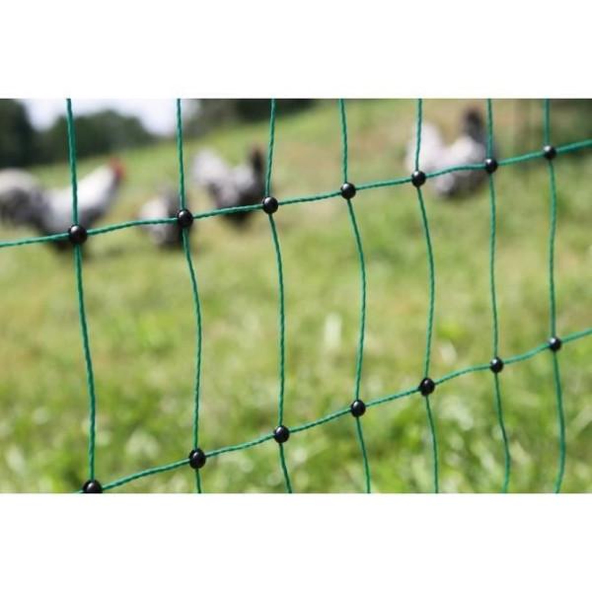 Voir la diapositive 4 : KERBL KERBL - Filet pour les poules 25 m - 106 cm - double pointe - vert - non électrique