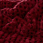 Voir la diapositive 3 : ATMOSPHERA Plaid Sherpa en Flanelle  Lyno  130x170cm Rouge Grenat
