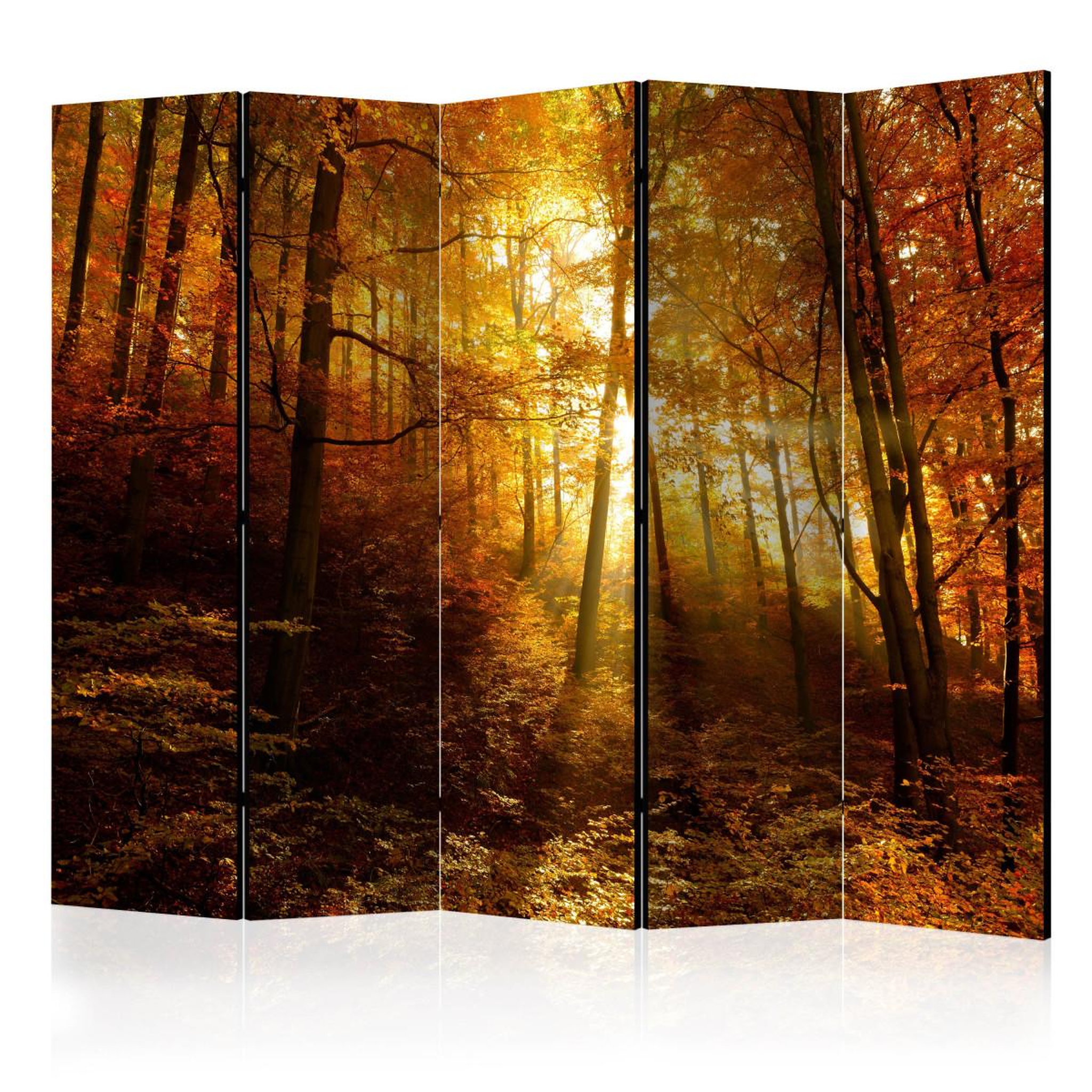 Paris Prix Paravent 5 volets  autumn illumination  172x225cm
