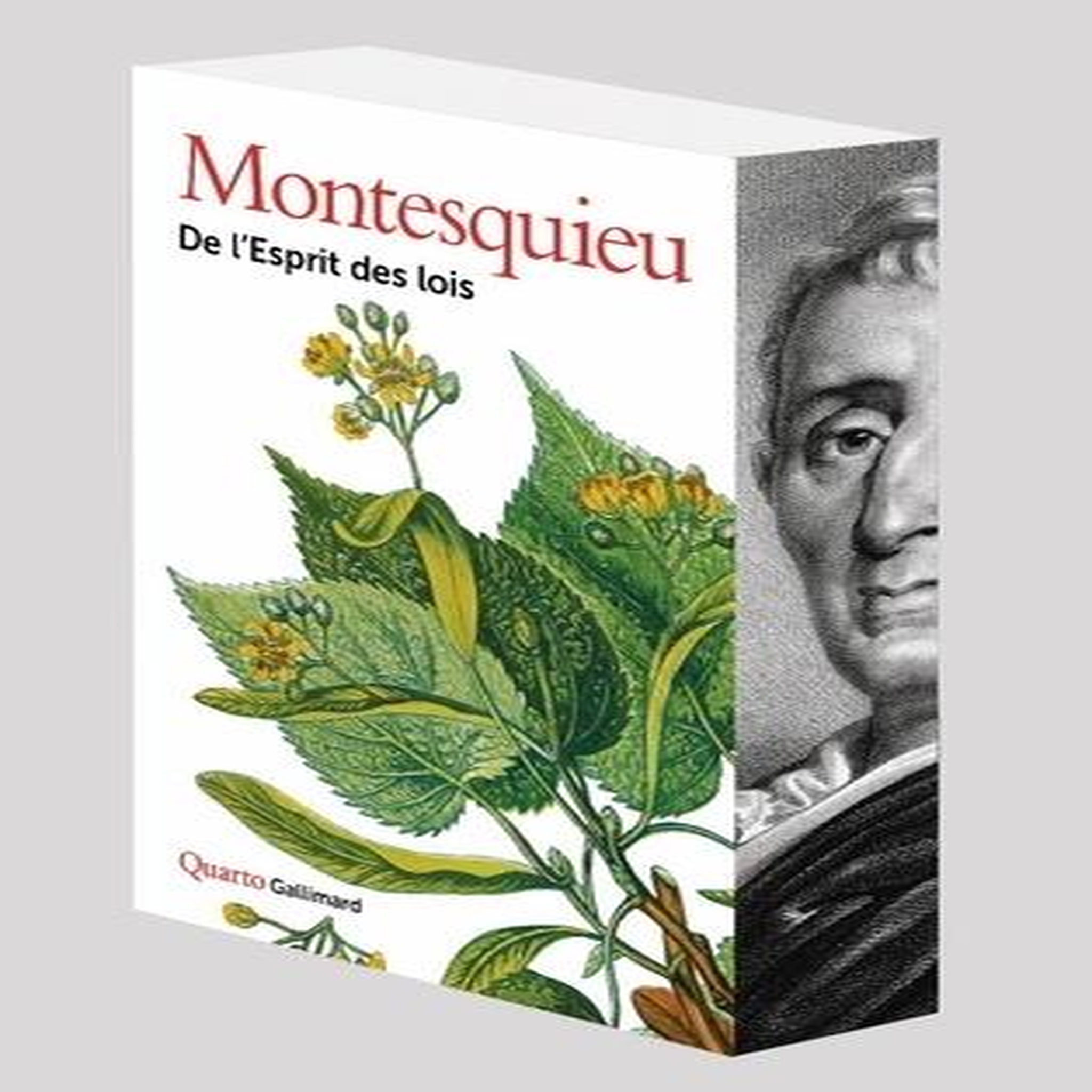 DE L'ESPRIT DES LOIS. EDITION COLLECTOR, Montesquieu