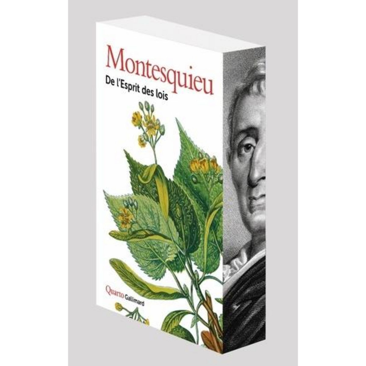 DE L'ESPRIT DES LOIS. EDITION COLLECTOR, Montesquieu