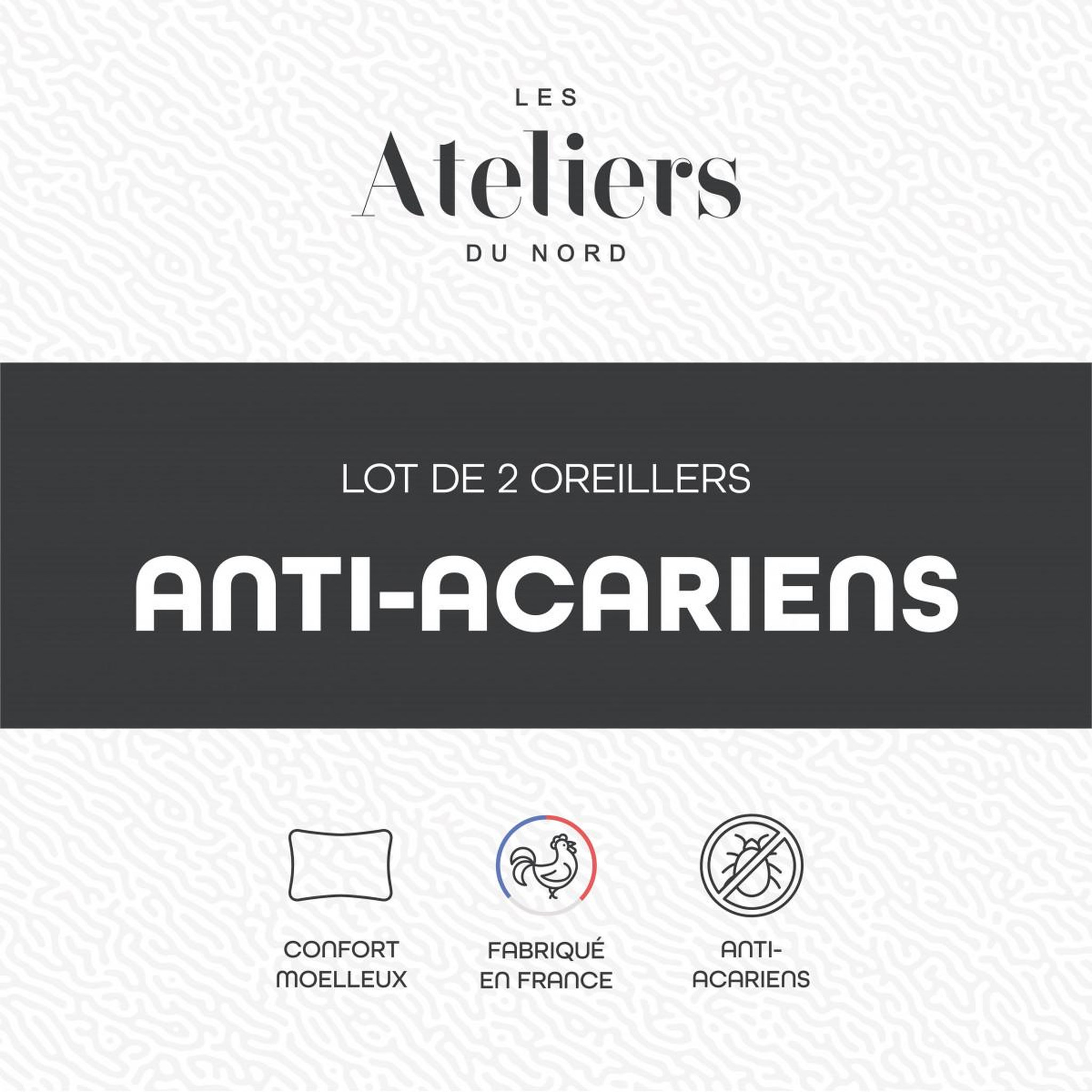 Voir la diapositive 3 : ATELIERS DU NORD Lot de 2 oreillers Anti-acariens