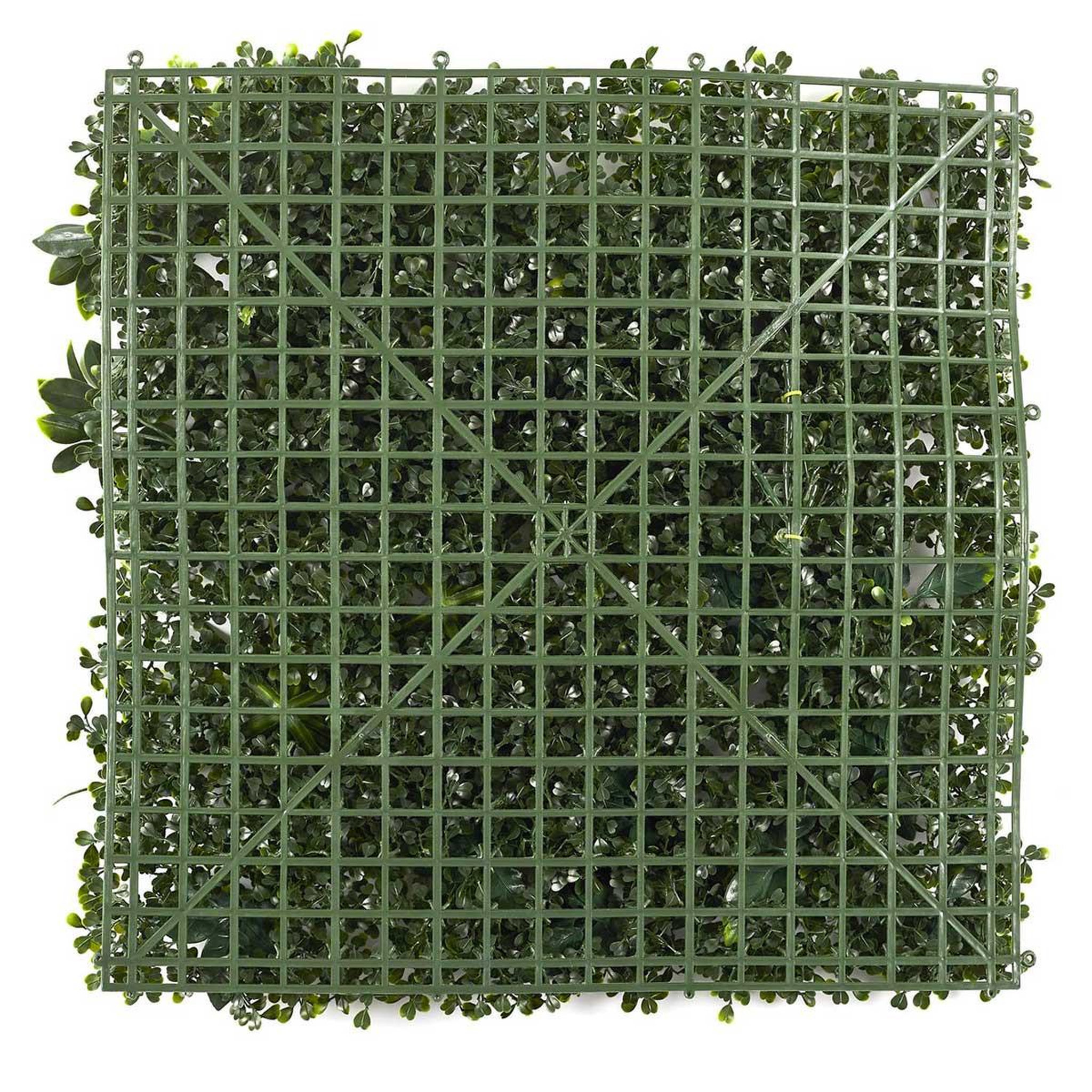 Voir la diapositive 2 : The Home Deco Factory Mur végétal artificiel  panache  50x50cm vert