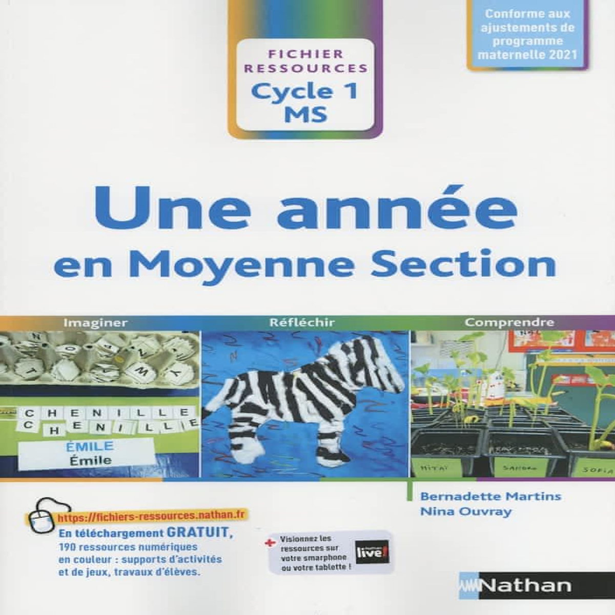 UNE ANNEE EN MOYENNE SECTION. FICHIER RESSOURCES CYCLE 1 MS, Martins Bernadette