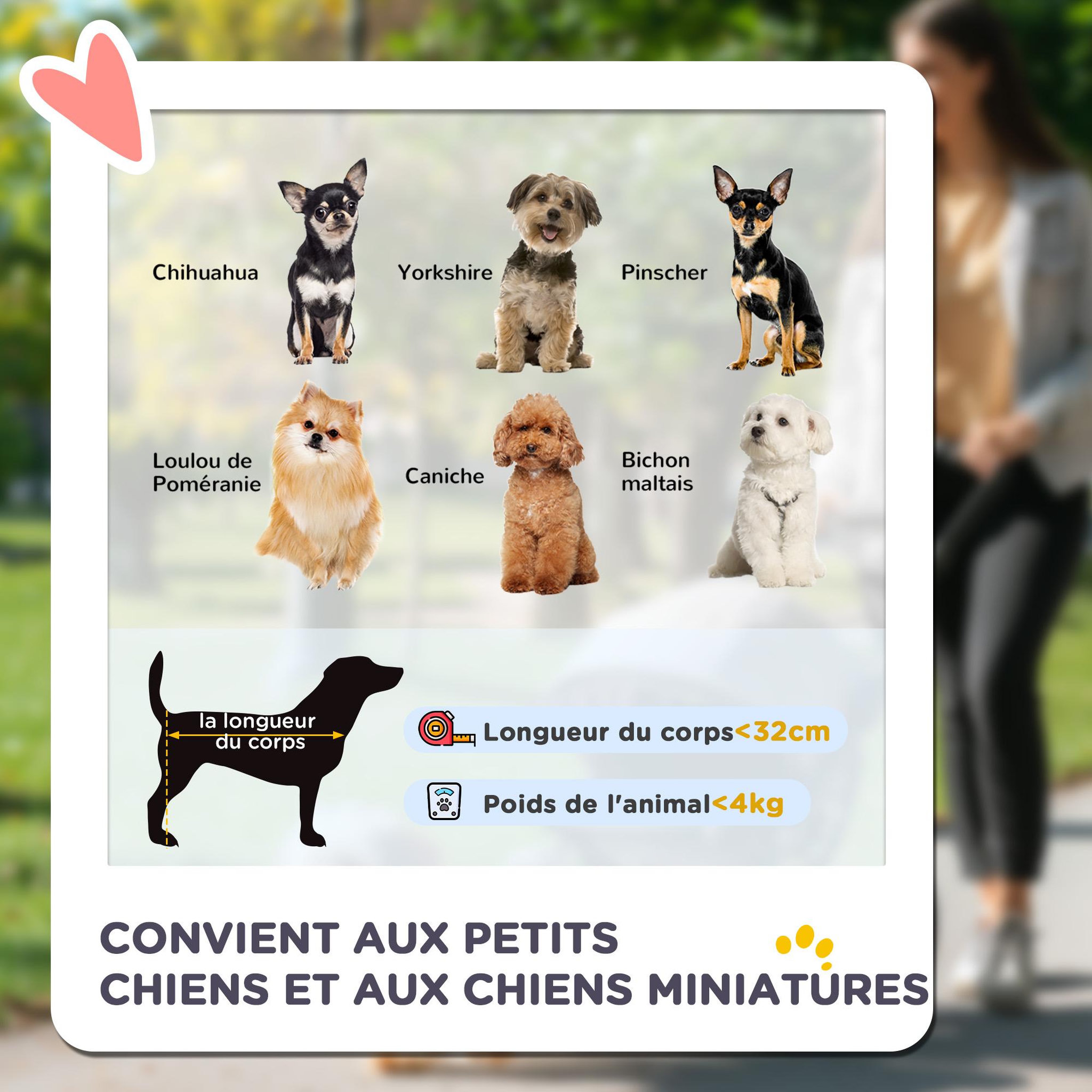 Voir la diapositive 3 : PAWHUT Poussette buggy pliable chien chat panier rangement porte-gobelets tissu 300d oxford imperméable 4 roues bleu
