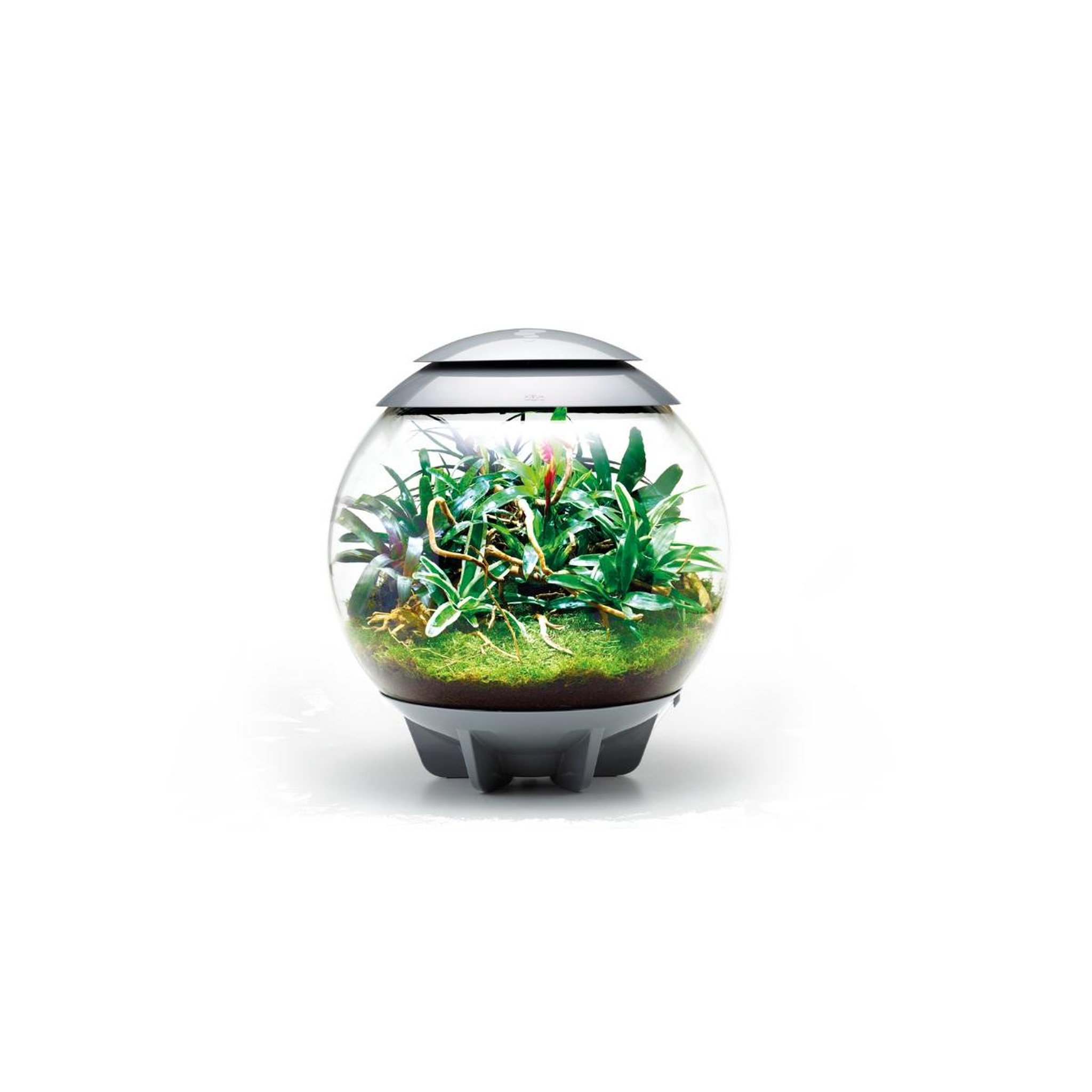 Voir la diapositive 4 : Oase Terrarium décoratif 60l avec cadre gris - air 60 grey