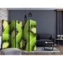 Voir la diapositive 2 : Paris Prix Paravent 5 Volets  Kiwi Slices  172x225cm