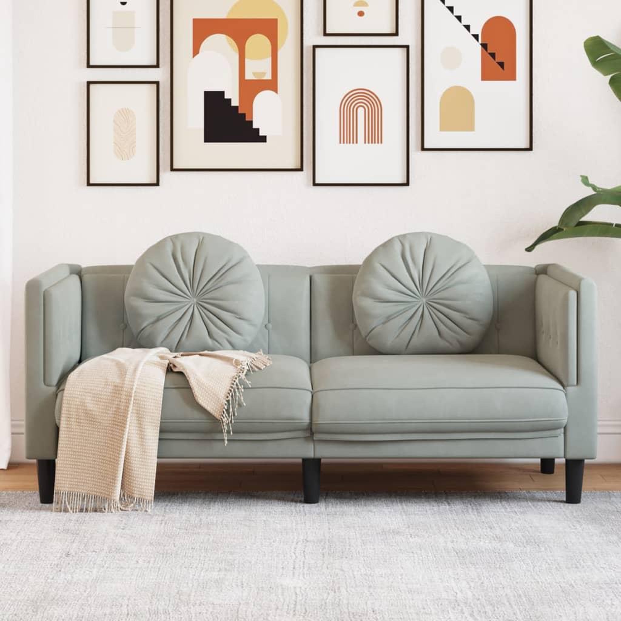 VIDAXL Canape avec coussins 2 places gris clair velours