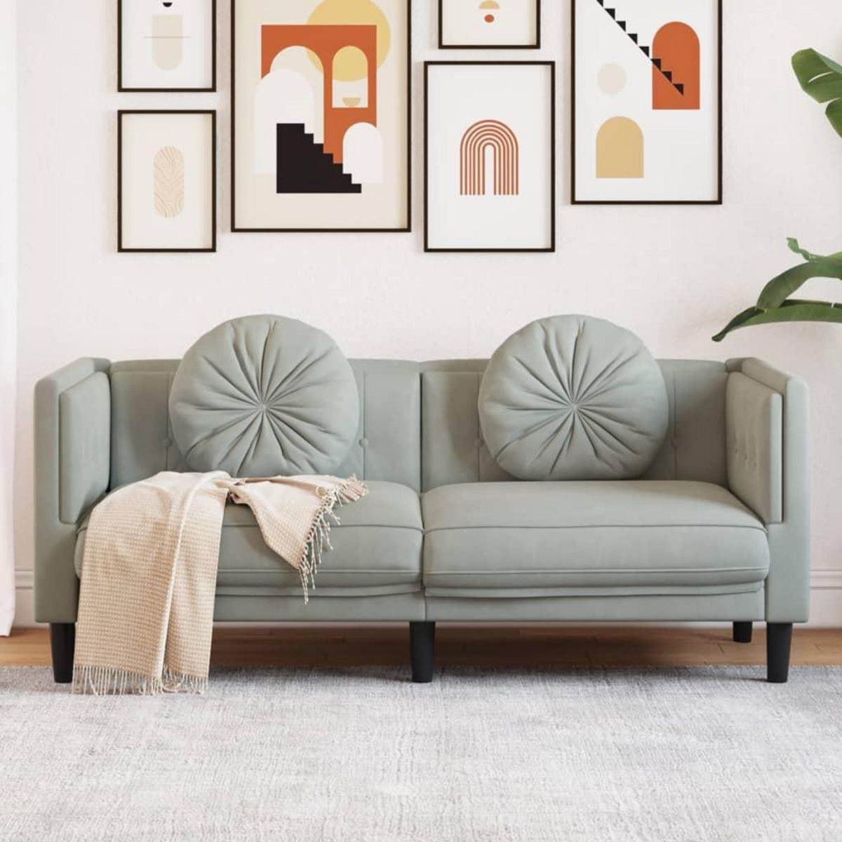 VIDAXL Canape avec coussins 2 places gris clair velours