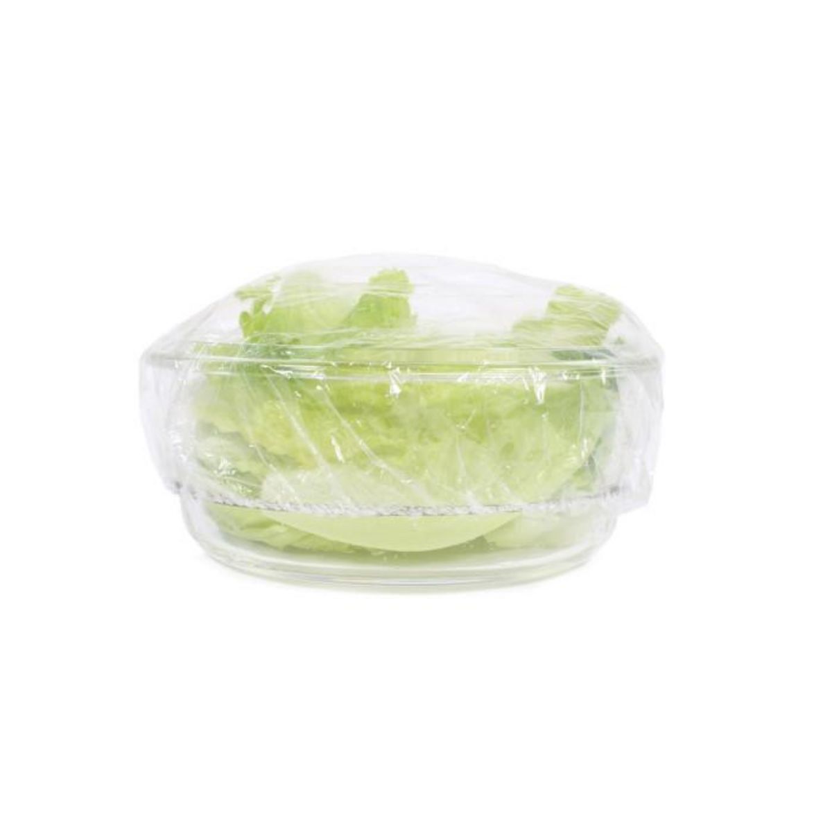 Paris Prix Lot de 10 Couvercles Conservation  Flex  38cm Transparent