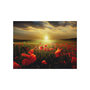 Voir la diapositive 2 : Paris Prix Papier Peint  Morning on the Poppy Meadow